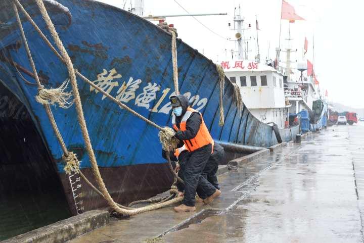 “近期台风动向详解”