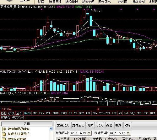 四川双马喜讯传来：停牌动态全新解读，期待未来辉煌启航