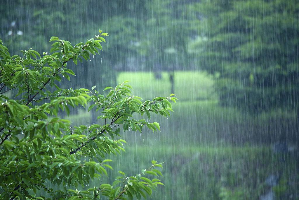 江苏强降雨预警最新发布